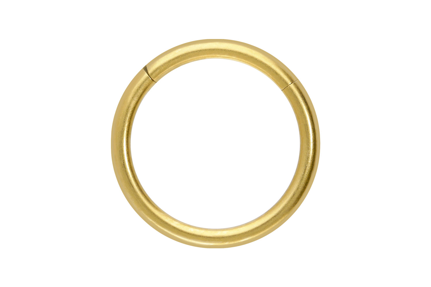 Titan Segmentring Clicker Piercing MATT